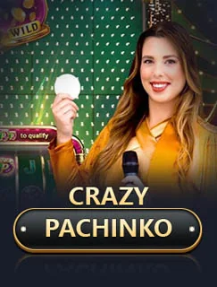 Crazy Pachinko artwork