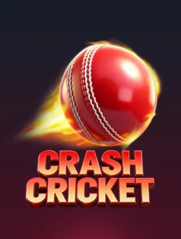 Crash Cricket artwork