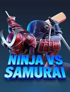 Ninja Vs Samurai artwork