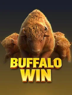 Buffalo Win artwork