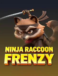 Ninja Raccoon Frenzy artwork
